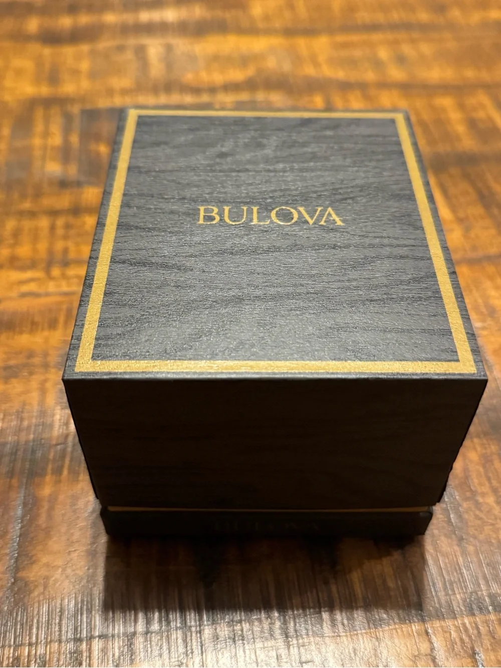 Bulova sleek men